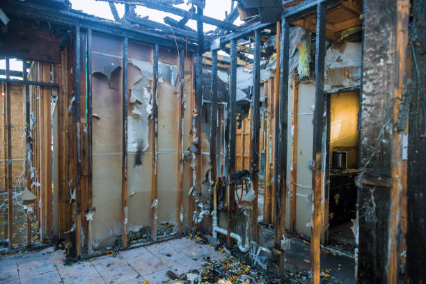 Professional Fire Damage Removal technician working in Prosper, TX